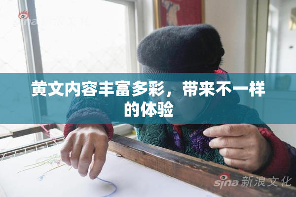 黄文内容丰富多彩，带来不一样的体验