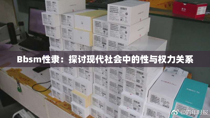Bbsm性隶：探讨现代社会中的性与权力关系