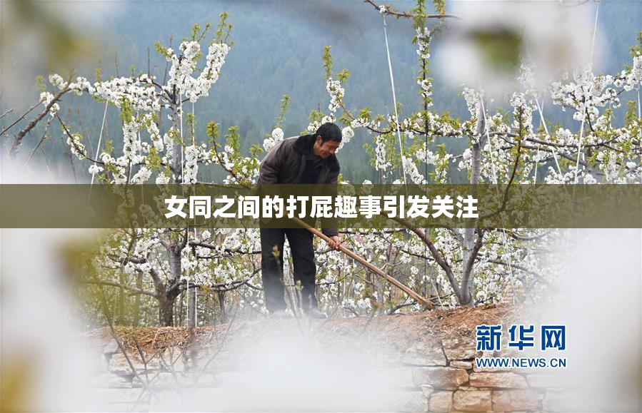 女同之间的打屁趣事引发关注