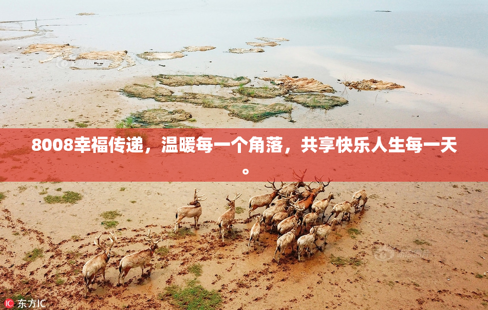 8008幸福传递，温暖每一个角落，共享快乐人生每一天。