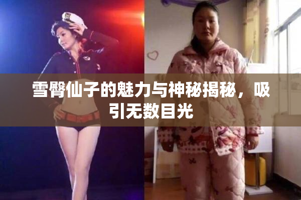 雪臀仙子的魅力与神秘揭秘，吸引无数目光
