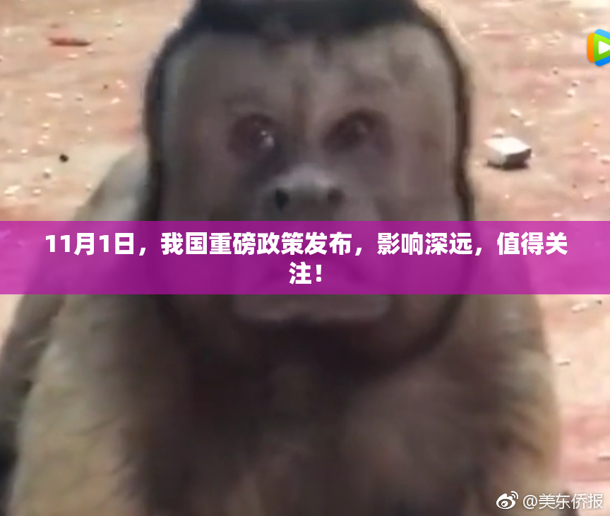 11月1日，我国重磅政策发布，影响深远，值得关注！
