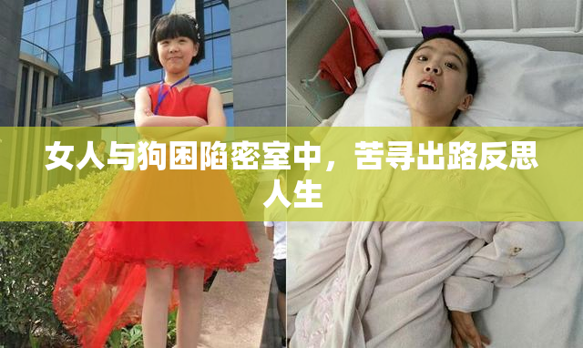 女人与狗困陷密室中，苦寻出路反思人生