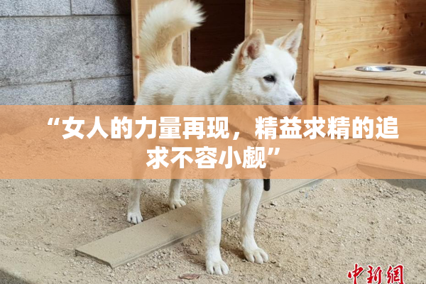 “女人的力量再现，精益求精的追求不容小觑”