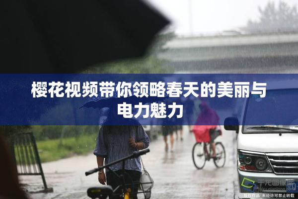 樱花视频带你领略春天的美丽与电力魅力