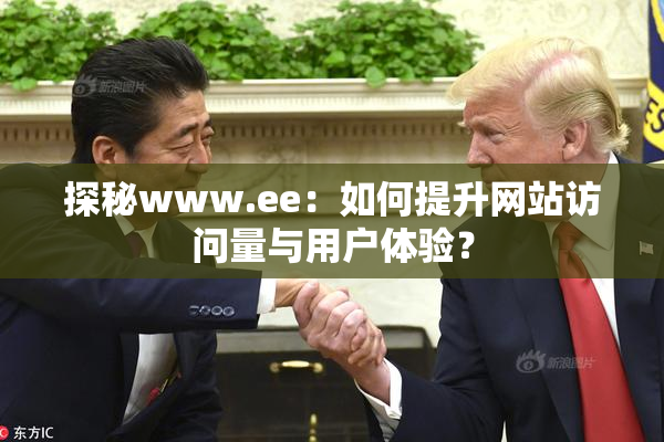 探秘www.ee：如何提升网站访问量与用户体验？