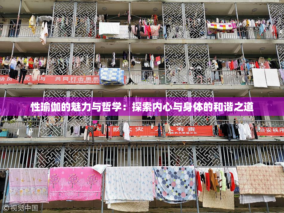 性瑜伽的魅力与哲学：探索内心与身体的和谐之道