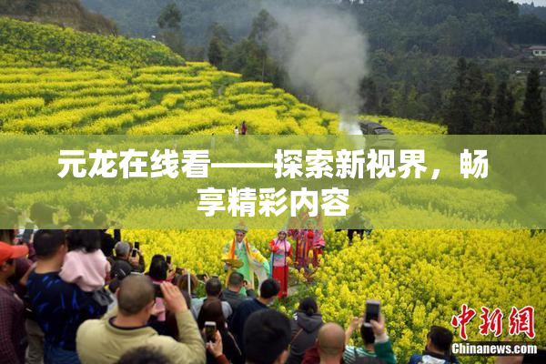 元龙在线看——探索新视界，畅享精彩内容