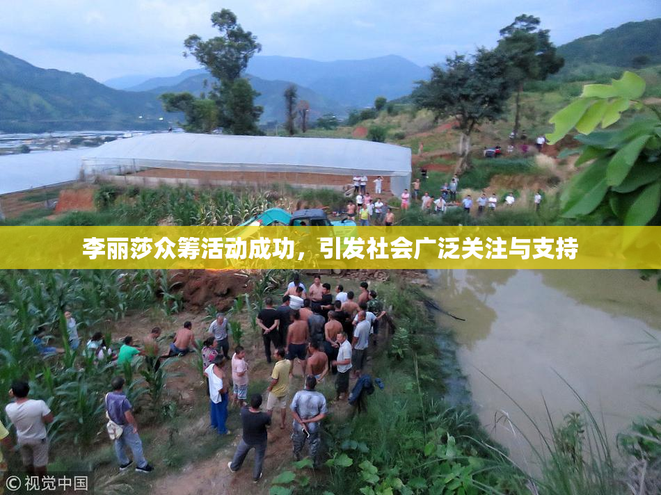 李丽莎众筹活动成功，引发社会广泛关注与支持