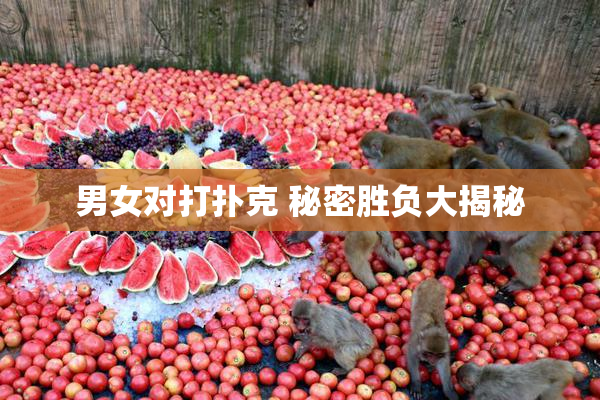 男女对打扑克 秘密胜负大揭秘