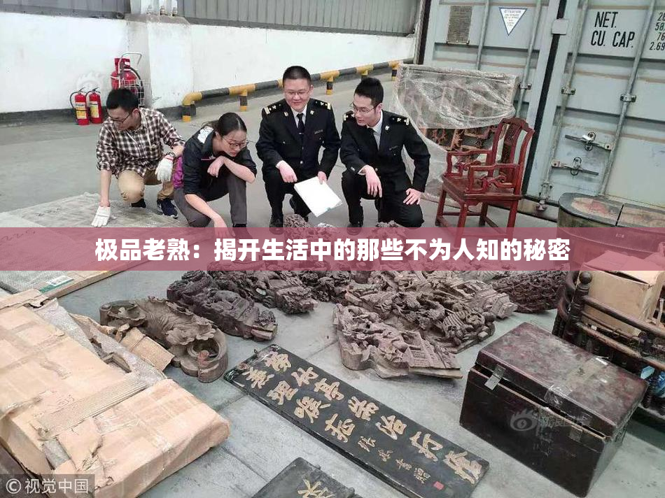 极品老熟：揭开生活中的那些不为人知的秘密