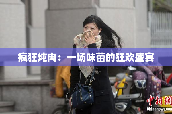 疯狂炖肉：一场味蕾的狂欢盛宴