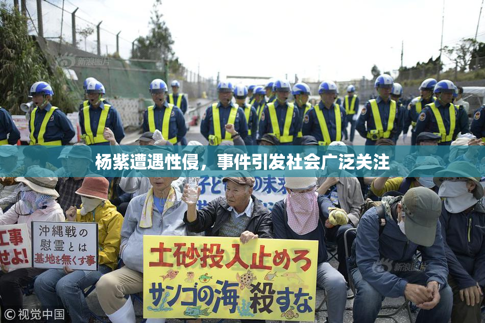 杨紫遭遇性侵，事件引发社会广泛关注