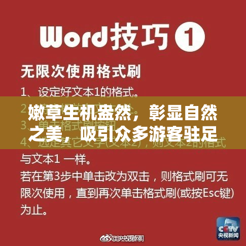 嫩草生机盎然，彰显自然之美，吸引众多游客驻足欣赏