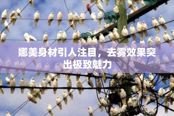娜美身材引人注目，去雾效果突出极致魅力