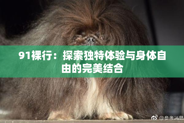 91裸行：探索独特体验与身体自由的完美结合