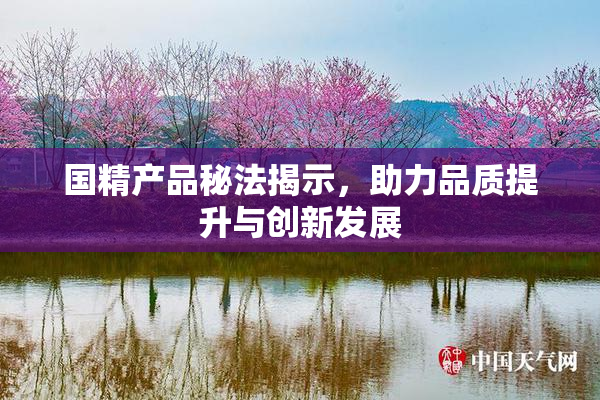 国精产品秘法揭示，助力品质提升与创新发展