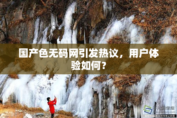 国产色无码网引发热议，用户体验如何？