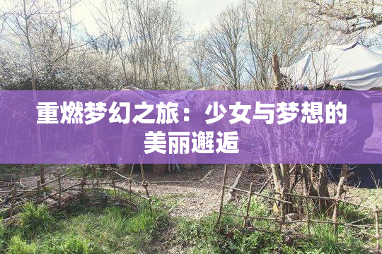 重燃梦幻之旅：少女与梦想的美丽邂逅