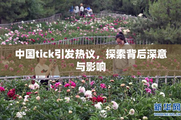 中国tick引发热议，探索背后深意与影响