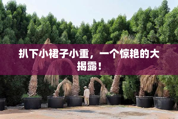 扒下小裙子小重，一个惊艳的大揭露！