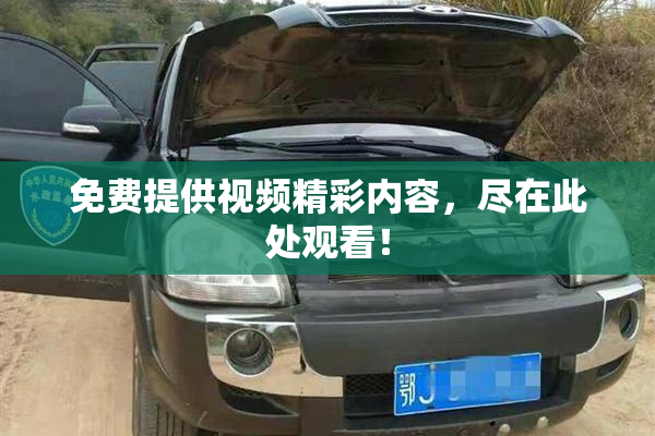 免费提供视频精彩内容，尽在此处观看！