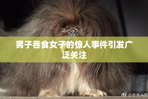 男子吞食女子的惊人事件引发广泛关注