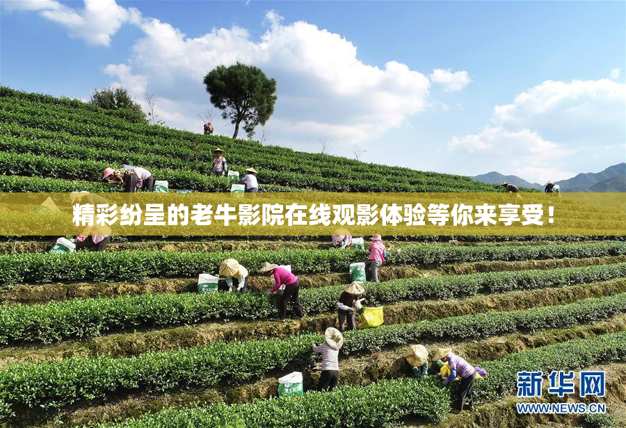 精彩纷呈的老牛影院在线观影体验等你来享受！