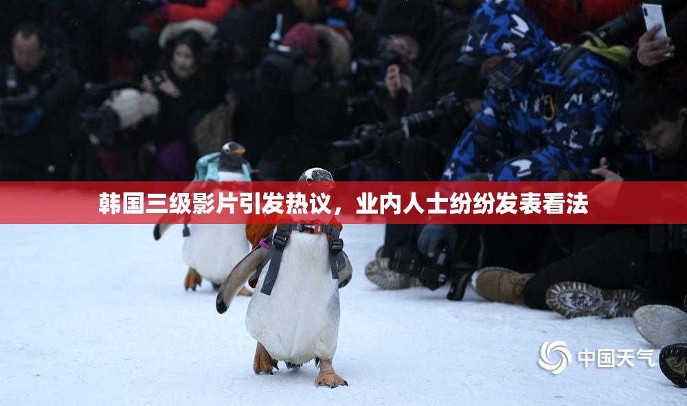 韩国三级影片引发热议，业内人士纷纷发表看法