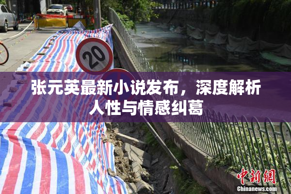 张元英最新小说发布，深度解析人性与情感纠葛