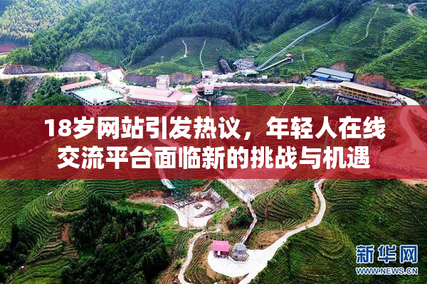 18岁网站引发热议，年轻人在线交流平台面临新的挑战与机遇