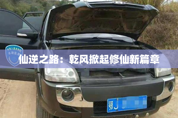 仙逆之路：乾风掀起修仙新篇章