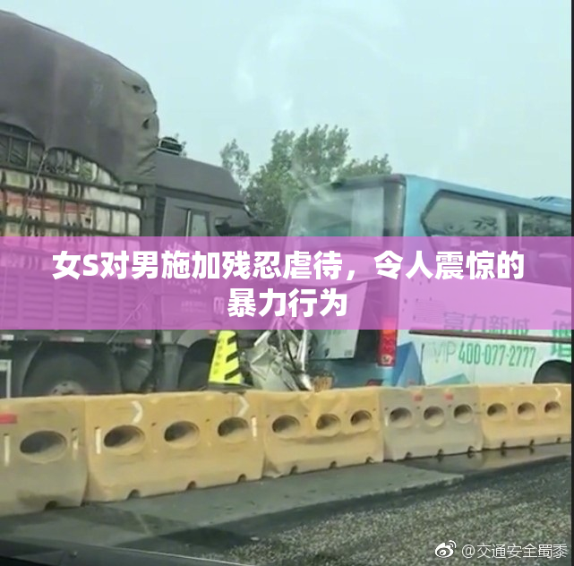 女S对男施加残忍虐待，令人震惊的暴力行为