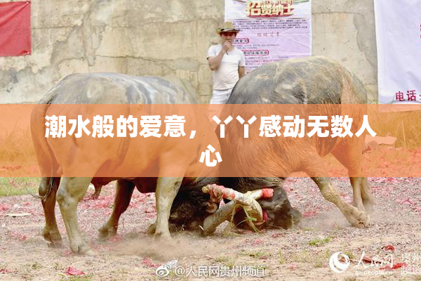 潮水般的爱意，丫丫感动无数人心