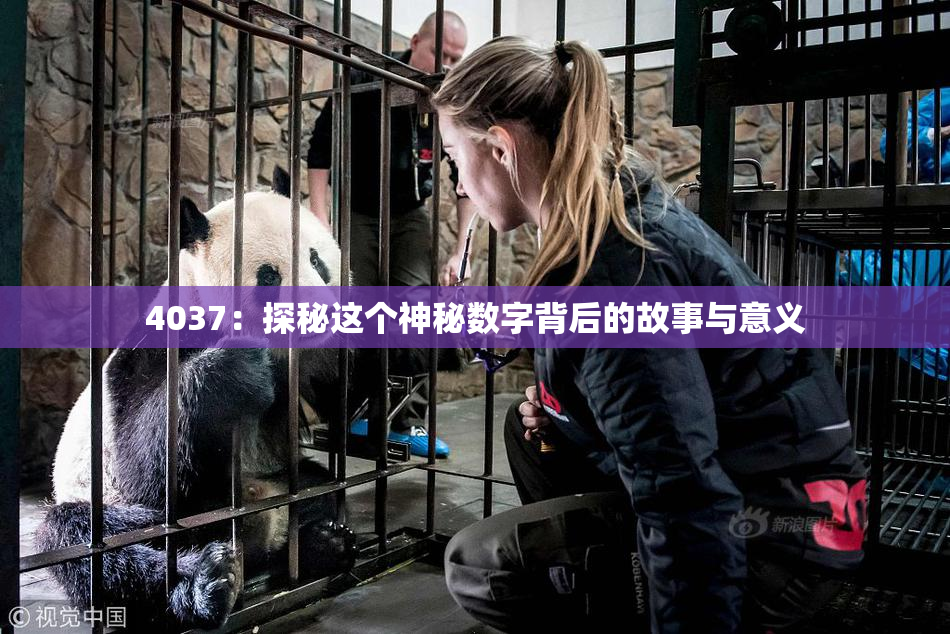 4037：探秘这个神秘数字背后的故事与意义
