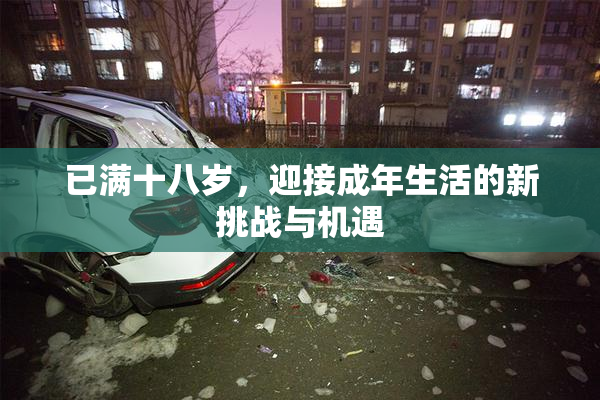 已满十八岁，迎接成年生活的新挑战与机遇