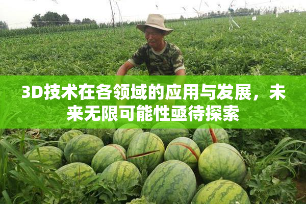 3D技术在各领域的应用与发展，未来无限可能性亟待探索
