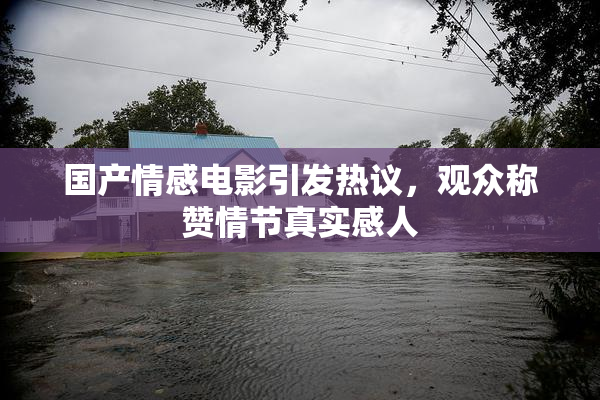 国产情感电影引发热议，观众称赞情节真实感人