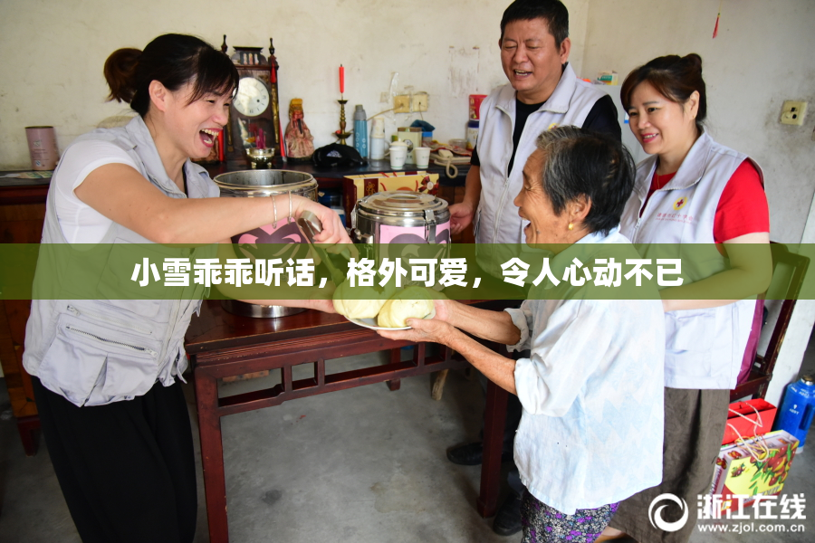 小雪乖乖听话，格外可爱，令人心动不已
