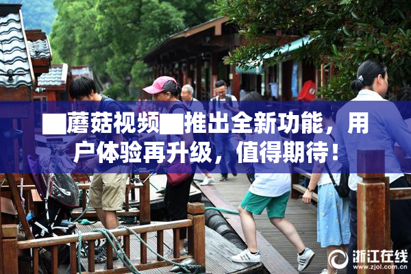 ▇蘑菇视频▇推出全新功能，用户体验再升级，值得期待！