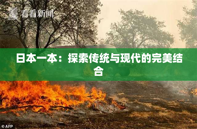 日本一本：探索传统与现代的完美结合