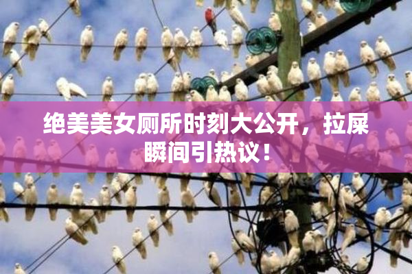 绝美美女厕所时刻大公开，拉屎瞬间引热议！