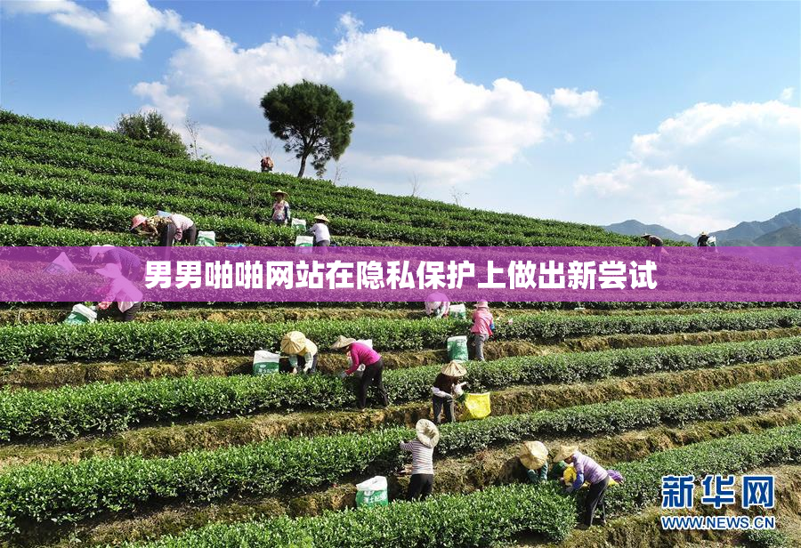 男男啪啪网站在隐私保护上做出新尝试