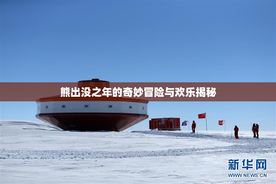 熊出没之年的奇妙冒险与欢乐揭秘