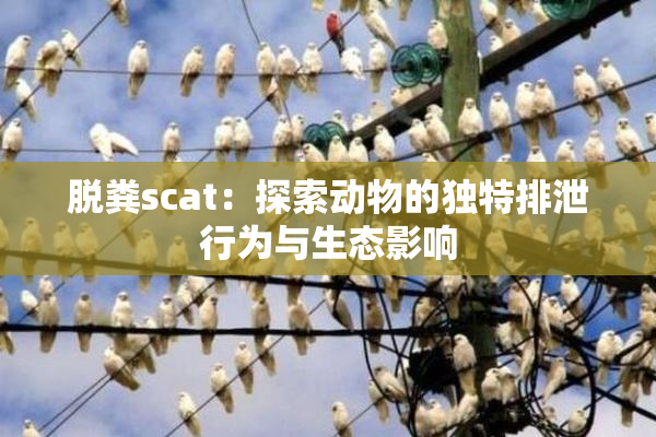 脱粪scat：探索动物的独特排泄行为与生态影响