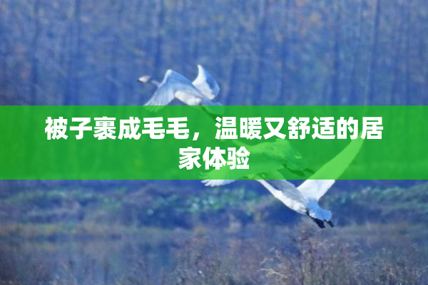 被子裹成毛毛，温暖又舒适的居家体验