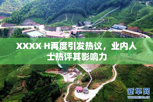 XXXX H再度引发热议，业内人士热评其影响力