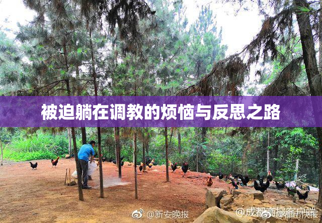 被迫躺在调教的烦恼与反思之路