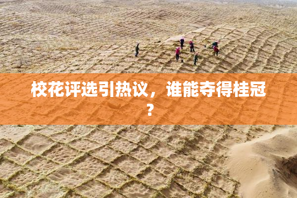 校花评选引热议，谁能夺得桂冠？