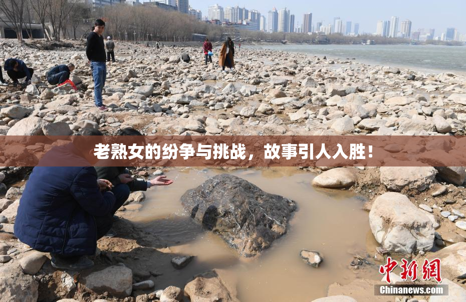 老熟女的纷争与挑战，故事引人入胜！